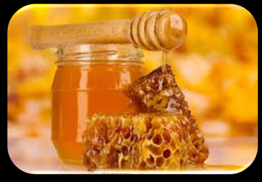 ΜΕΛΙΣΣΟΤΡΟΦΗ Οι μελισσοτροφές μπορεί να είναι