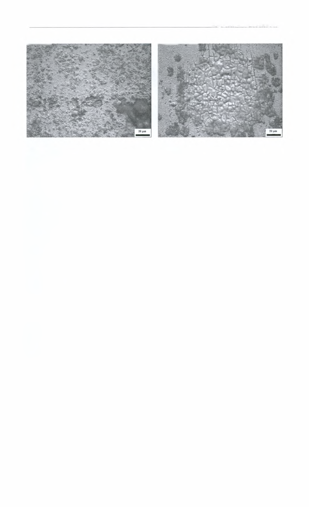 Κεφάλαιο 4: Αποτελέσματα Εικόνα 4.54: Μεταλλογραφία διαβρωμένου Εικόνα 4.55: Μεταλλογραφία διαβρωμένου δοκιμίου με χρόνο έκθεσης 5 min.