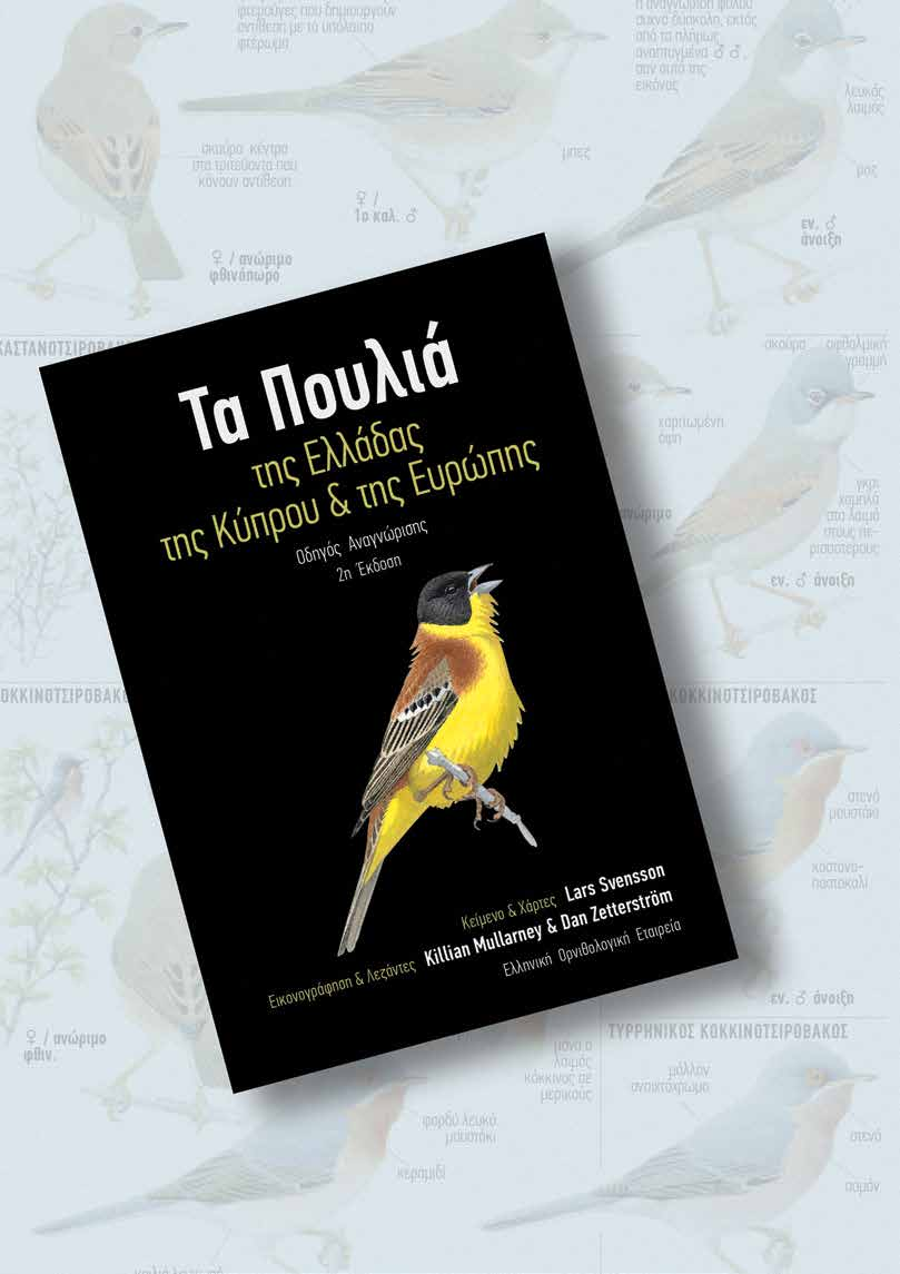 των Ασπροπάρηδων 5 χρόνια δράσης για την «Επιστροφή του Ασπροπάρη»