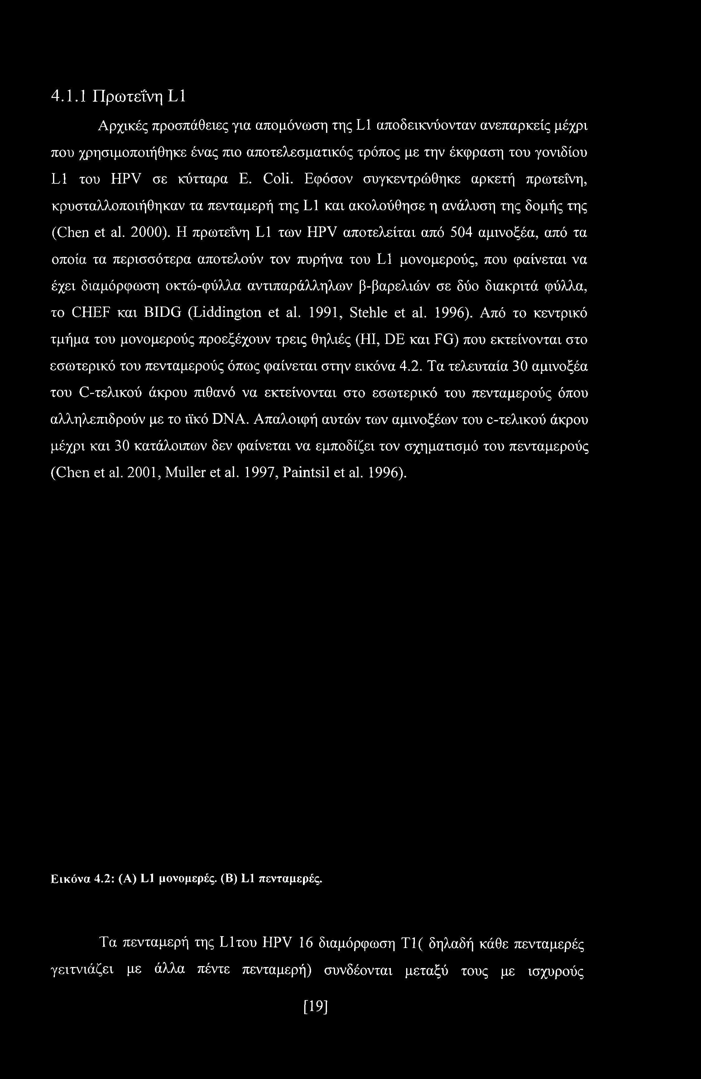 Η πρωτεΐνη L1 των HPV αποτελείται από 504 αμινοξέα, από τα οποία τα περισσότερα αποτελούν τον πυρήνα του L1 μονομερούς, που φαίνεται να έχει διαμόρφωση οκτώ-φύλλα αντιπαράλληλων β-βαρελιών σε δύο