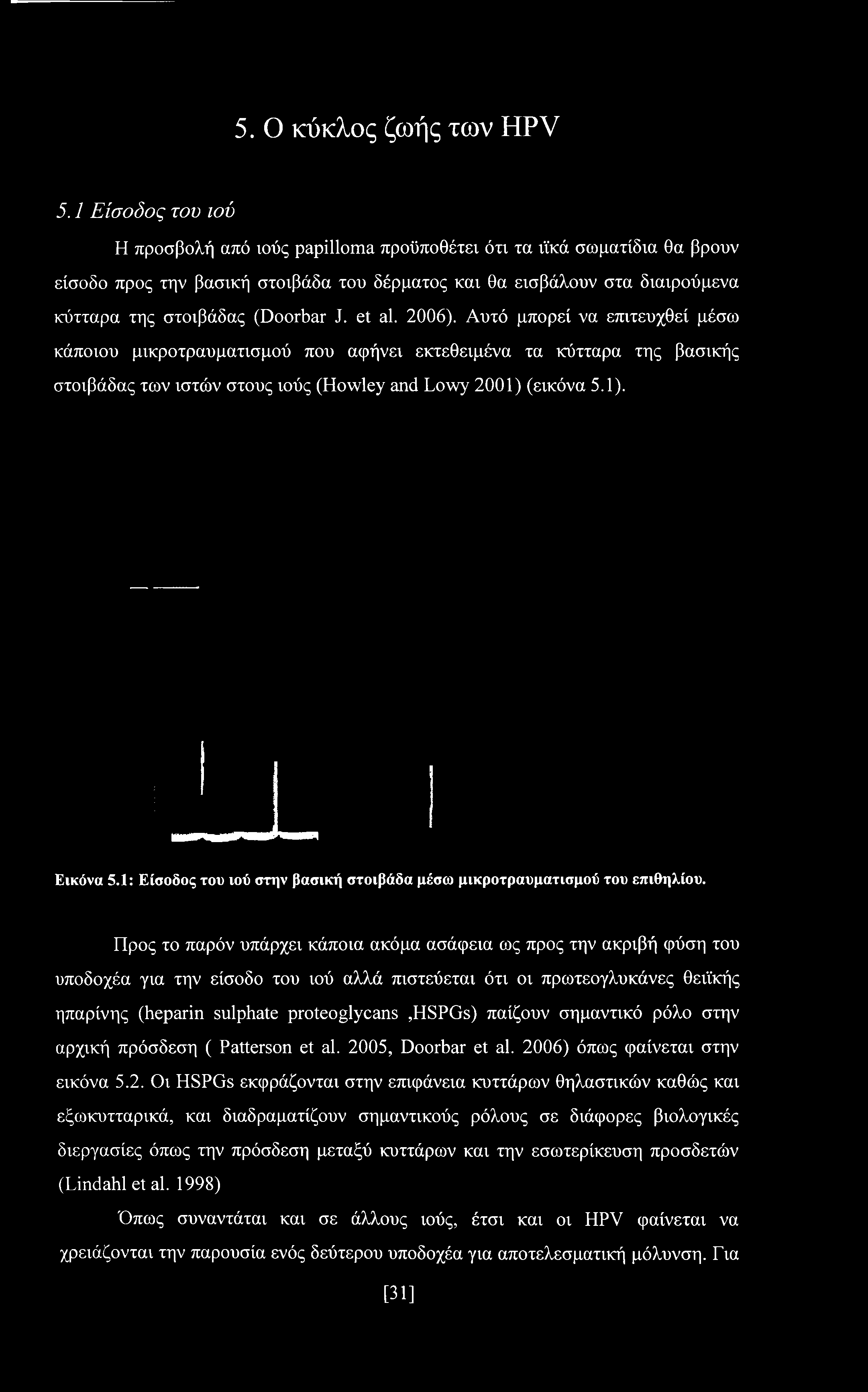 J. et al. 2006). Αυτό μπορεί να επιτευχθεί μέσω κάποιου μικροτραυματισμού που αφήνει εκτεθειμένα τα κύτταρα της βασικής στοιβάδας των ιστών στους ιούς (Howley and Lowy 2001) (εικόνα 5.1). Εικόνα 5.