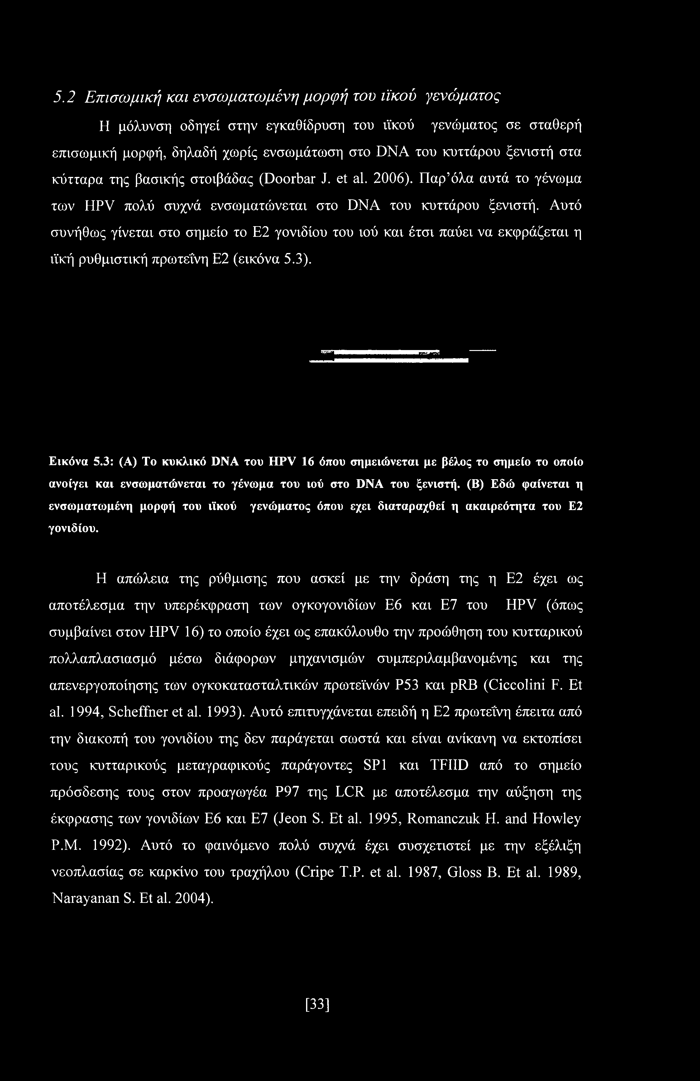 Αυτό συνήθως γίνεται στο σημείο το Ε2 γονιδίου του ιού και έτσι παύει να εκφράζεται η ιϊκή ρυθμιστική πρωτεΐνη Ε2 (εικόνα 5.3). Εικόνα 5.