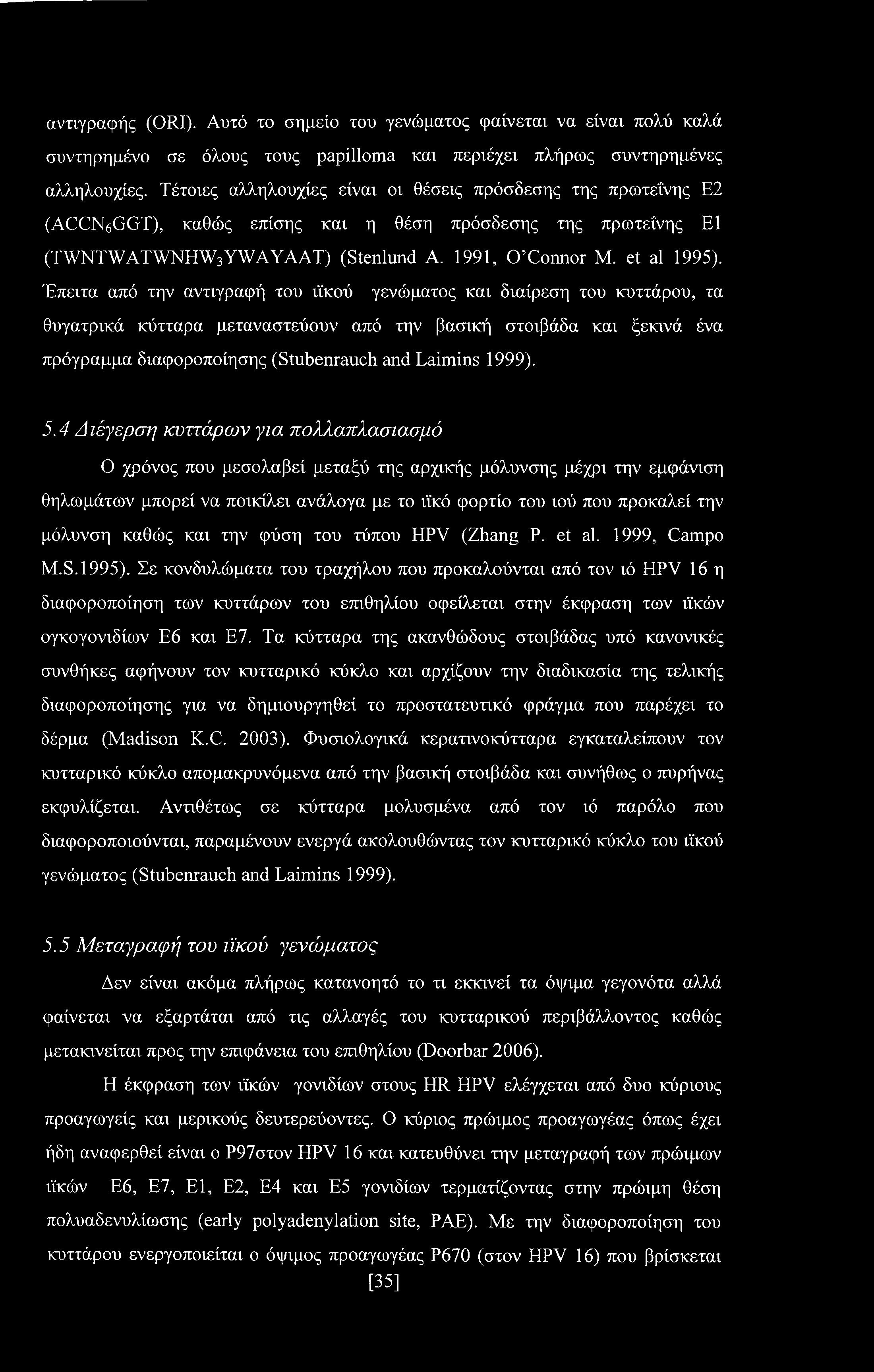 Έπειτα από την αντιγραφή του ιϊκού γενώματος και διαίρεση του κυττάρου, τα θυγατρικά κύτταρα μεταναστεύουν από την βασική στοιβάδα και ξεκινά ένα πρόγραμμα διαφοροποίησης (Stubenrauch and Laimins