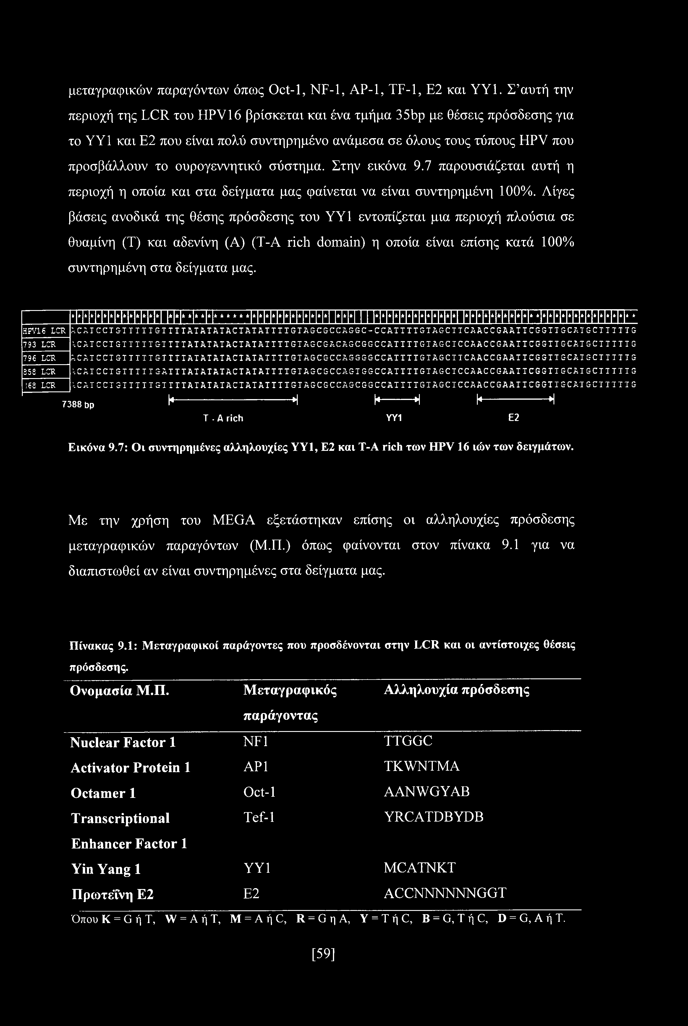 σύστημα. Στην εικόνα 9.7 παρουσιάζεται αυτή η περιοχή η οποία και στα δείγματα μας φαίνεται να είναι συντηρημένη 100%.