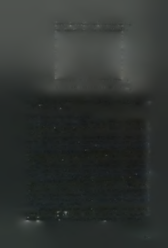 Ο to 19 20 i ' ' i ' ' 1 [,f' T > ' t r-r-r-r '-r-η 0 9 10 19 20 29 30 39 EC,W EC, ECe ECiw Σχήμα 3.5.