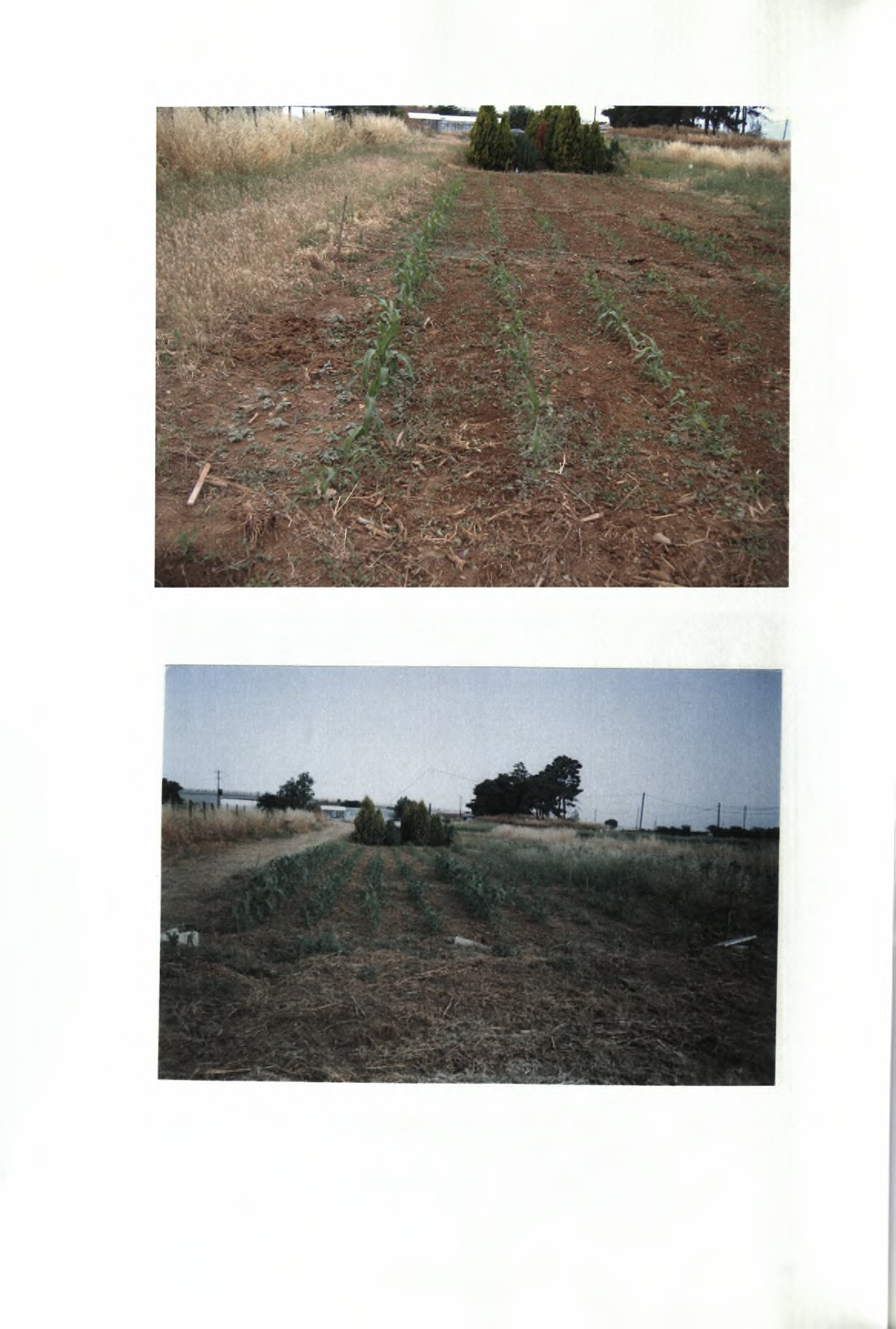 Εικόνα 4.5.