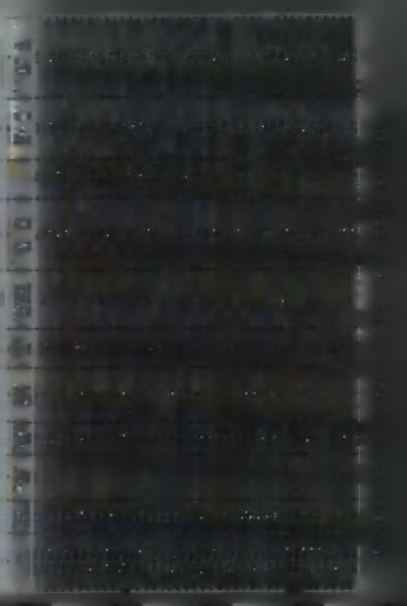 θ' ' S C! - jr II + > Η U3 C Η >< II 9 6 '9 50 vd X o X!