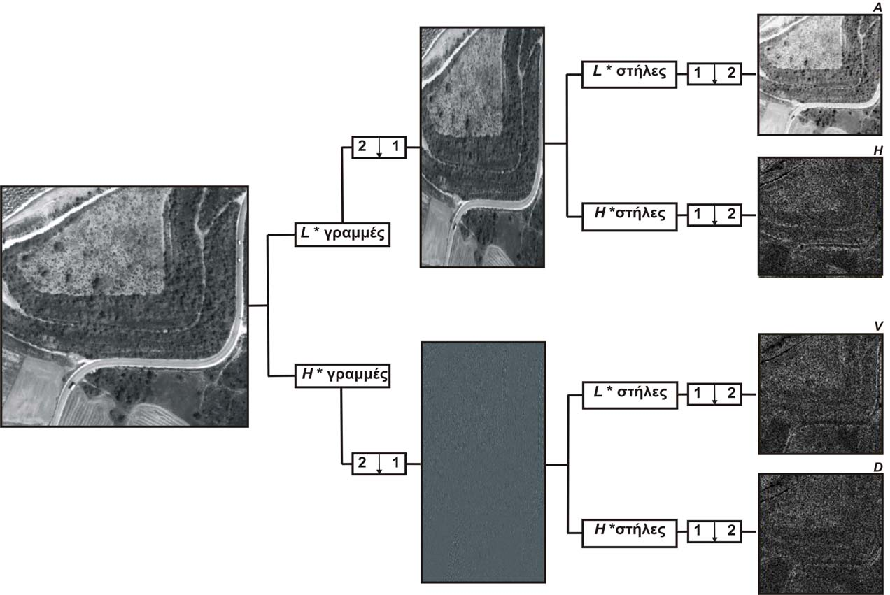 Εικόνα 10: Διάσπαση τμήματος παγχρωματικής εικόνας Quickbird (περιοχή Αχιβαδολίμνη) με χρήση του μετασχηματισμού κυματιδίων Mallat.