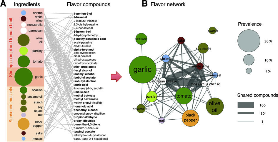 Συστατικό-Γεύση: Διμερές Δίκτυο Y.-Y. Ahn, S. E. Ahnert, J. P. Bagrow, A.-L.