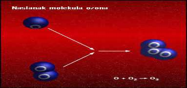 slojevima ispod 20 km praktično ne postoji, pošto ultraljubičasta radijacija kraćih talasnih dužina (λ<0,242µm) prodire u veoma malim količinama.