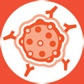 Orthomol Immun obsahuje stopové prvky zinok, selén, železo, meď a mangán ako dôležité súčasti antioxidačne pôsobiacich