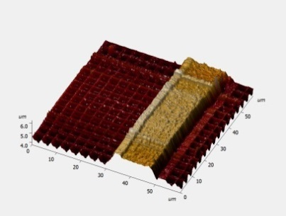 electrostatică (EFM) / Microscopie cu scanare a capacităţii (SCM) / Microscopie cu sondă Kelvin / Imagistică a difuziei rezistivităţii (SRI) / Litografie AFM.