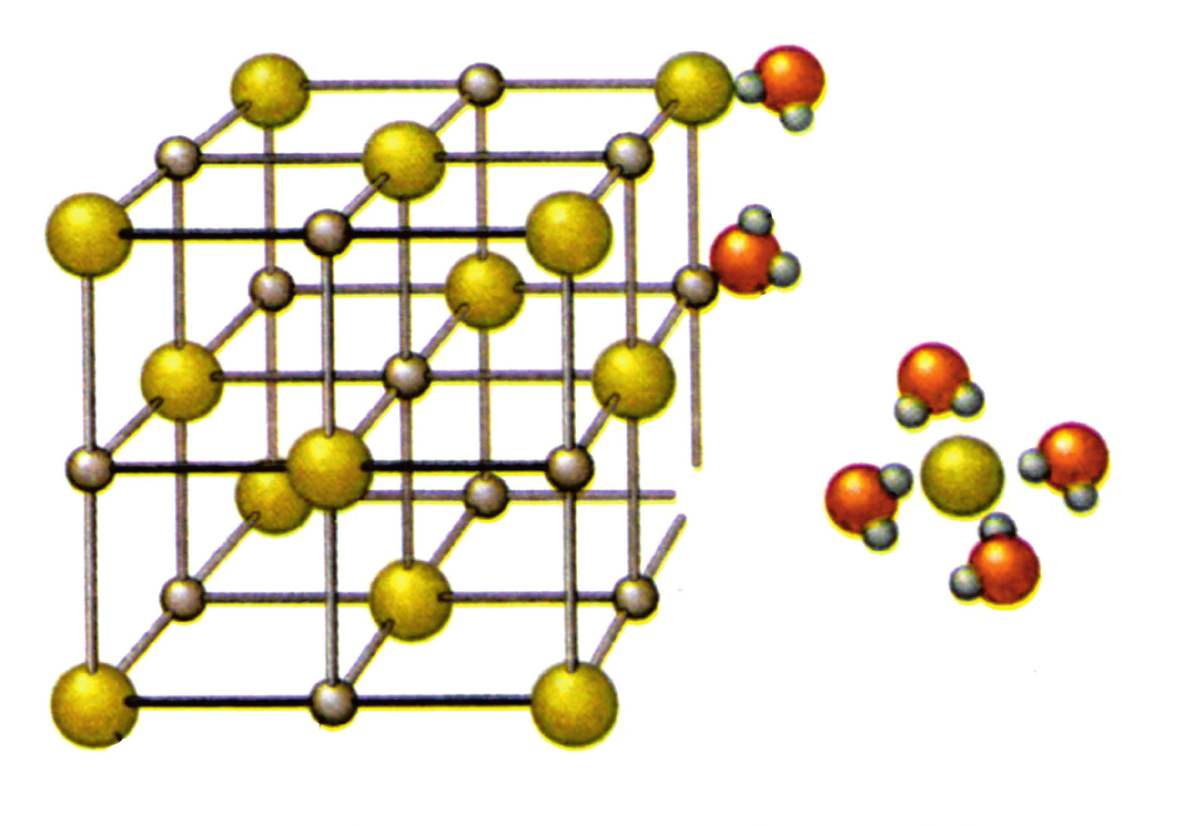 Η Ο Cl - Na + ΣΧΗΜΑ 5.2 Διαγραμματική παρουσίαση της διάλυσης ιοντικής ένωσης, π.χ. NaCl, στο νερό.