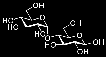 Μαλτόζη Είναι ανάγων δισακχαρίτης Σχηµατίζει οζαζόνη Υπάρχει σε α- ή β-µορφή(υπερτερεί η β-µορφή)