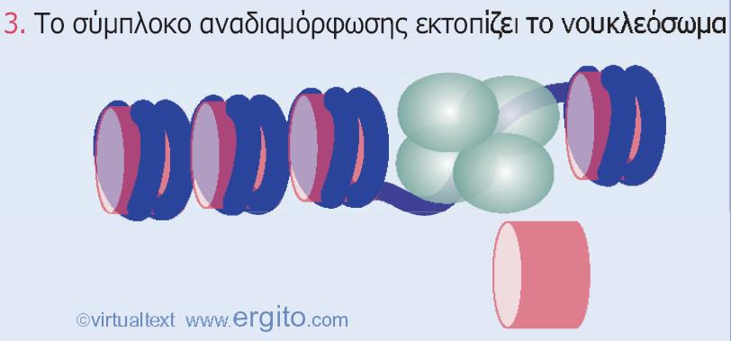 προσδένεται στη χρωματίνη μέσω