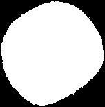 parsimonious μεθόδων.