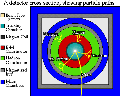 Αλληλεπίδραση διαφόρων σωματιδίων με διάφορα είδη ανιχνευτών Η θέση