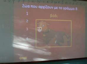 2η δραστηριότητα Ομάδες Στη συνέχεια η εκπαιδευτικός ζήτησε από τις ομάδες να επιλέξουν ένα από τα 5 ζώα που παρουσιάστηκαν και έδωσε