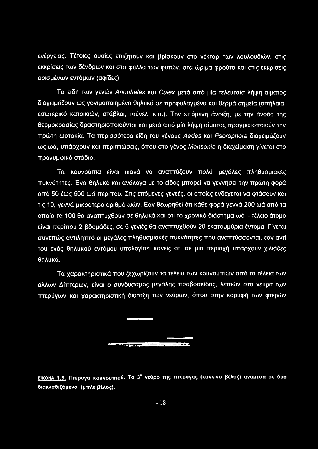 Την επόμενη άνοιξη, με την άνοδο της θερμοκρασίας δραστηριοποιούνται και μετά από μία λήψη αίματος πραγματοποιούν την πρώτη ωοτοκία.