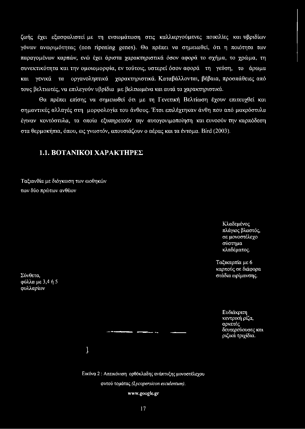 ομοιομορφία, εν τούτοις, υστερεί όσον αφορά τη γεύση, το άρωμα και γενικά τα οργανοληπτικά χαρακτηριστικά.