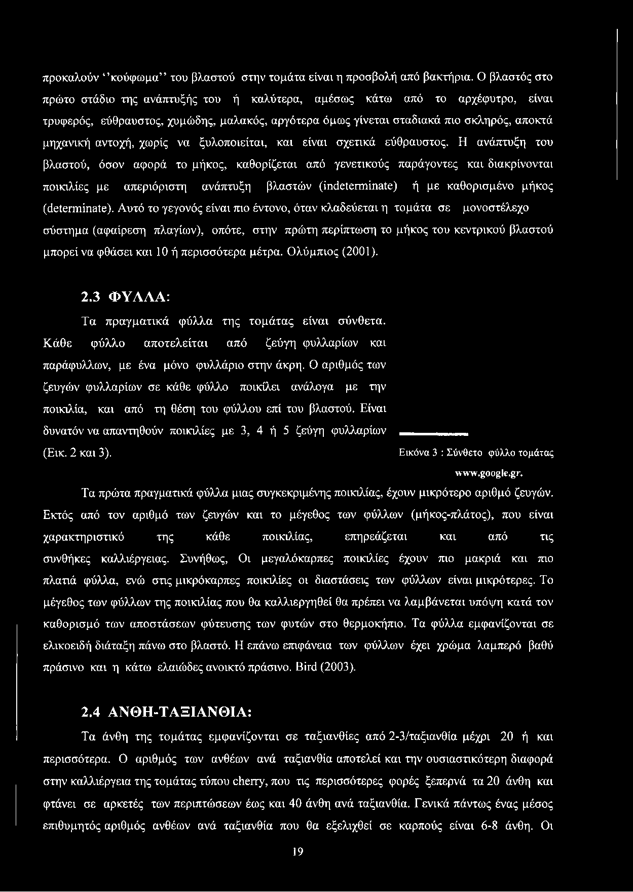 αντοχή, χωρίς να ξυλοποιείται, και είναι σχετικά εύθραυστος.