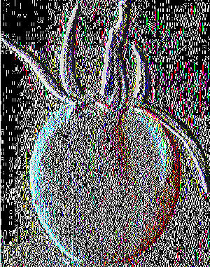 49