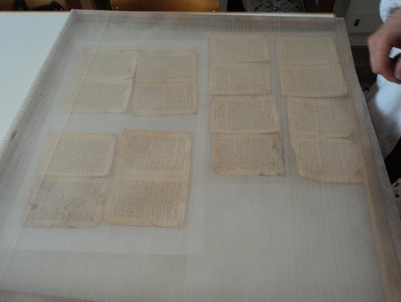 iv.υγρός καθαρισμός Τα φύλλα τοποθετούνται πάνω σε χαρτιά hollytex και πάνω σε τελάρα με σήτες.