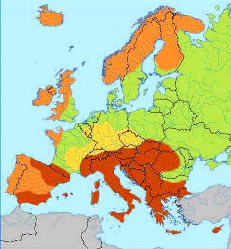 3. Κάθε ομάδα να παρουσιάσει συνοπτικά στην τάξη τα συμπεράσματα της εργασίας της. 11.