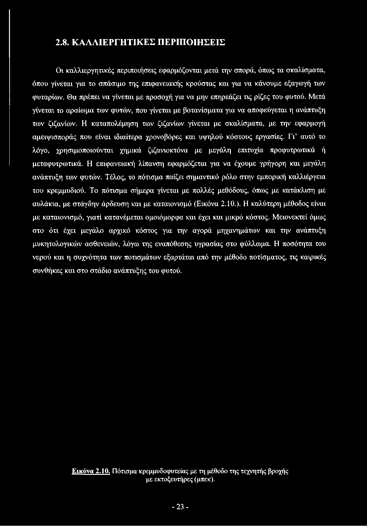 Γι αυτό το λόγο, χρησιμοποιούνται χημικά ζιζανιοκτόνα με μεγάλη επιτυχία προφυτρωτικά ή μεταφυτρωτικά.
