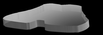 PALID CORTEX CINGULAR