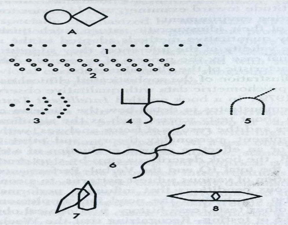 Testul Bender-Gestalt