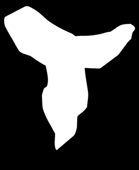 MEDIAL