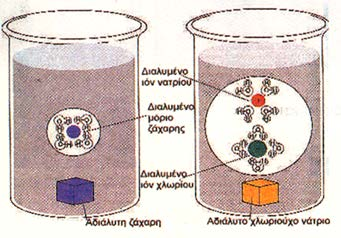Σχήμα 1: Το νερό διαλύει τις ομοιοπολικές και τις ετεροπολικές ενώσεις. Στη διάλυση ισχύει ο γενικός κανόνας «το όμοια διαλύουν όμοια».