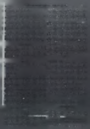 ΕΦ ΗΜ ΕΡΙΣ ΤΗΣ ΚΥΒΕΡΝ Η ΣΕΩ Σ (ΤΕΥΧΟΣ ΔΕΥΤΕΡΟ) 195 2.