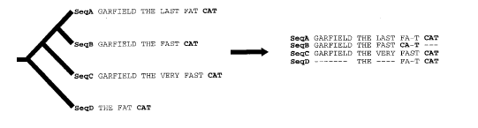 Σχήµα 3.6: Regular Progressive Alignment Strategy Όπως χρησιµοποιείται εδώ, η διαδικασία δεν απαιτεί τυχόν πρόσθετες παραµέτρους όπως gap penalties.