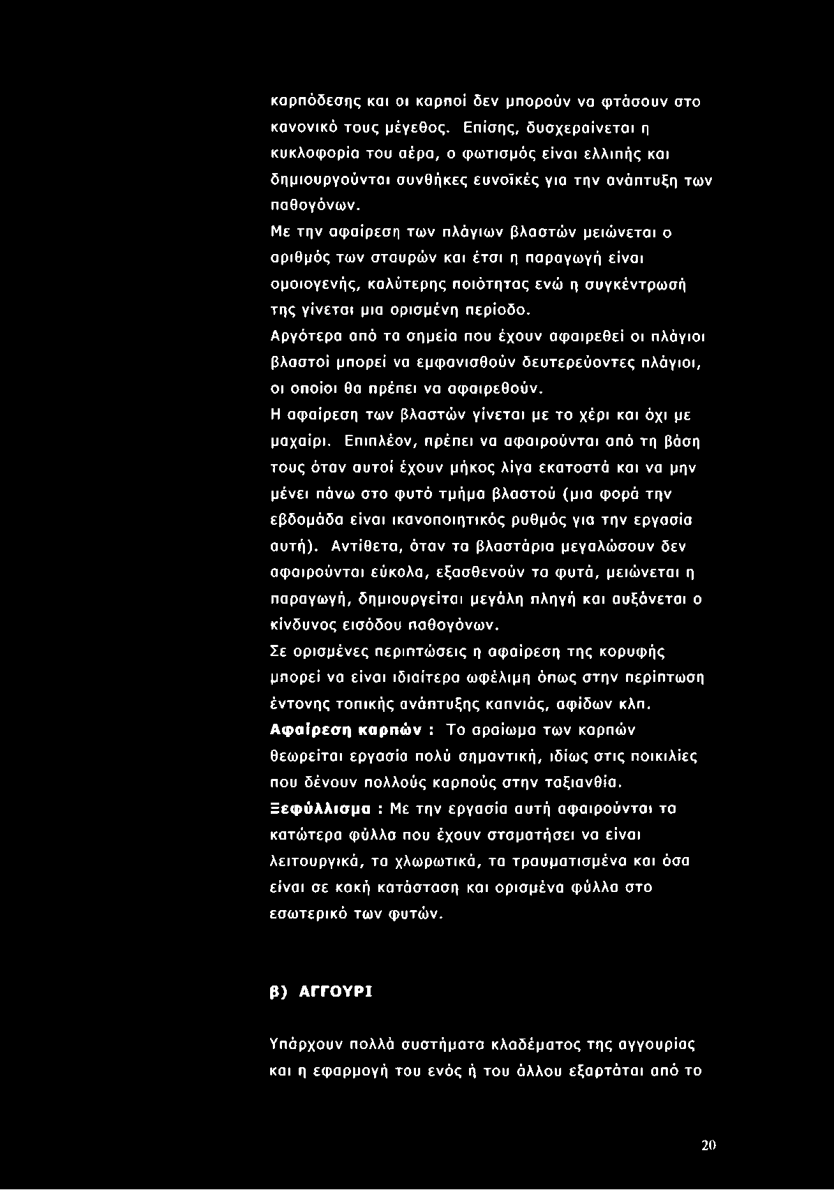 Με την αφαίρεση των πλάγιων βλαστών μειώνεται ο αριθμός των σταυρών και έτσι η παραγωγή είναι ομοιογενής, καλύτερης ποιότητας ενώ η συγκέντρωσή της γίνεται μια ορισμένη περίοδο.