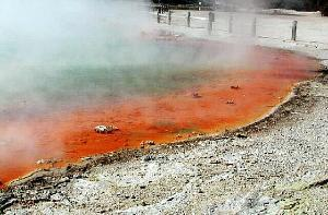 ULOGA I ZNAČAJ AJ CYANOBACTERIA: 150 rodova s 2000 vrsta prvi