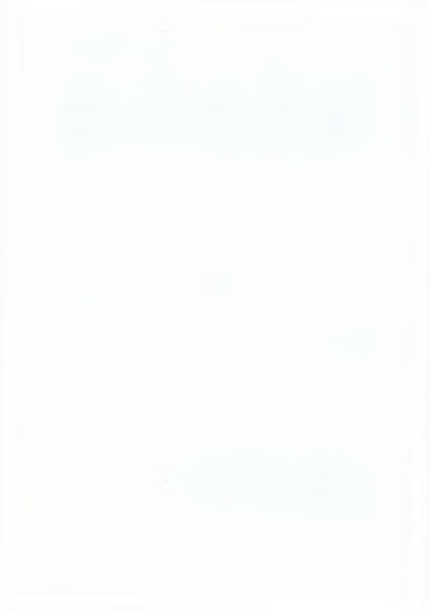 1.3 ΤΙ ΕΙΝΑΙ ΤΟ Α/Κ Θα μπορούσαμε, λοιπόν, να πούμε ότι το Α/Κ είναι μία δεξαμενή χρημάτων πολλών επενδυτών ή αλλιώς το κοινό ταμείο πολλών επενδυτών που εμπιστεύονται τη διαχείριση των χρημάτων τους