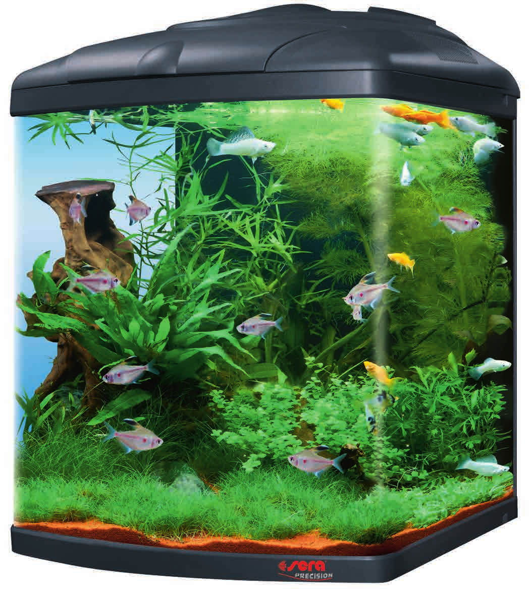 sera Biotop Cube 0 XXL (No. ) Η σωστή επιλογή των φυτών επιτρέπει την δημιουργία μεγάλου βάθους τοπίου με το sera Biotop Cube 0 XXL, που θα σας οδηγήσει σε νέες ανακαλύψεις ξανά και ξανά.