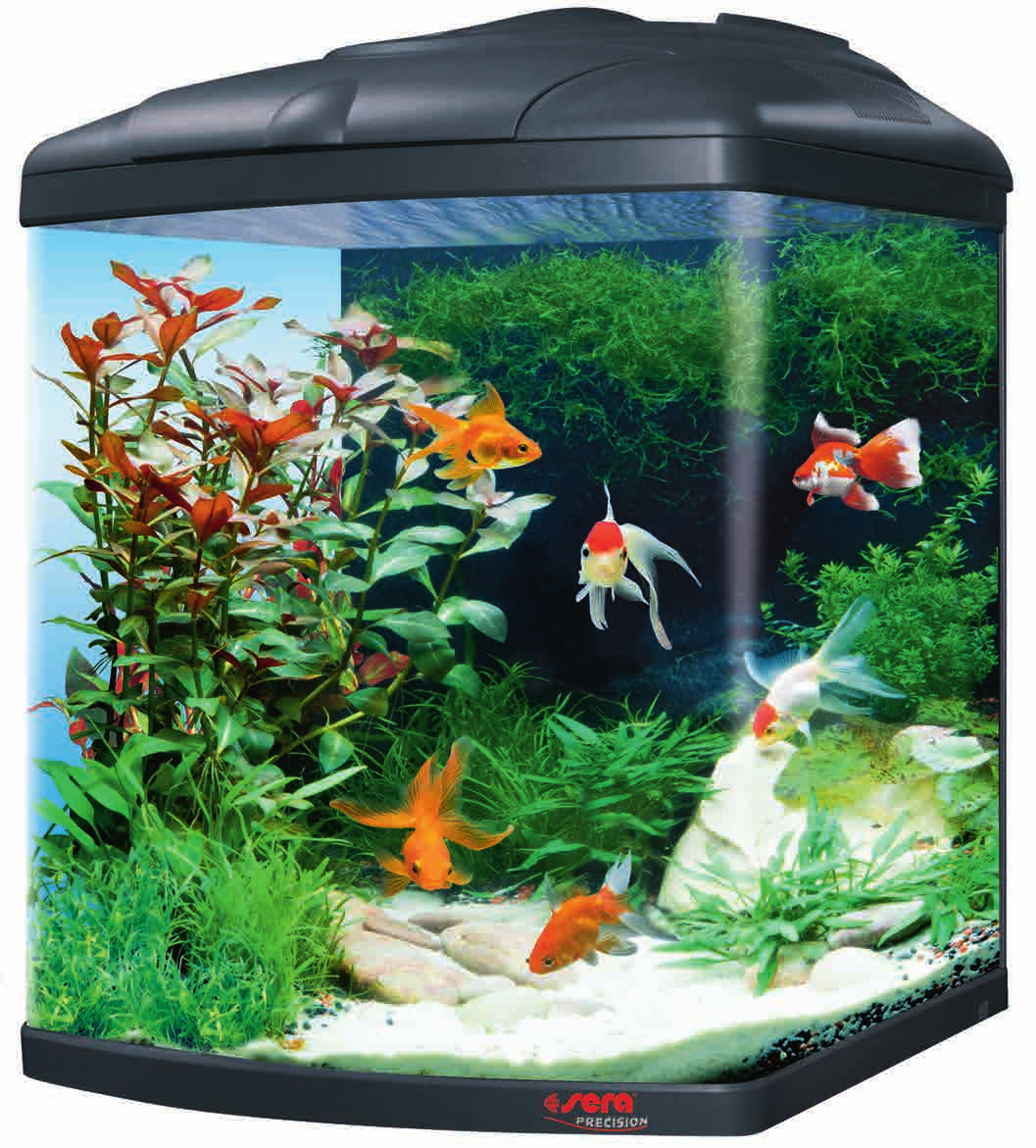 sera Biotop Cube 0 XXL (No. ) Τα ενυδρεία με χρυσόψαρα έχουν μια ιδιαίτερη λάμψη λόγω του μεγέθους των όμορφων και αεικίνητων αυτών κολυμβητών.