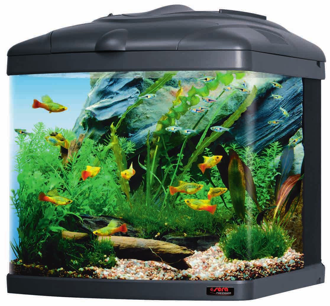 sera Biotop Nano Cube 0 (No. ) Τα μικρά ενυδρεία μπορεί να δείξουν ιδιαίτερα όμορφα όταν είναι σωστά διακοσμημένα.