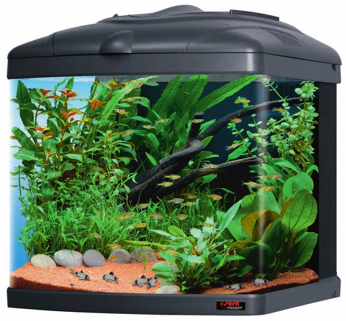 sera Biotop Nano Cube 0 (No. ) Μια μικρογραφία κήπου στο ενυδρείο? Γιατί όχι!