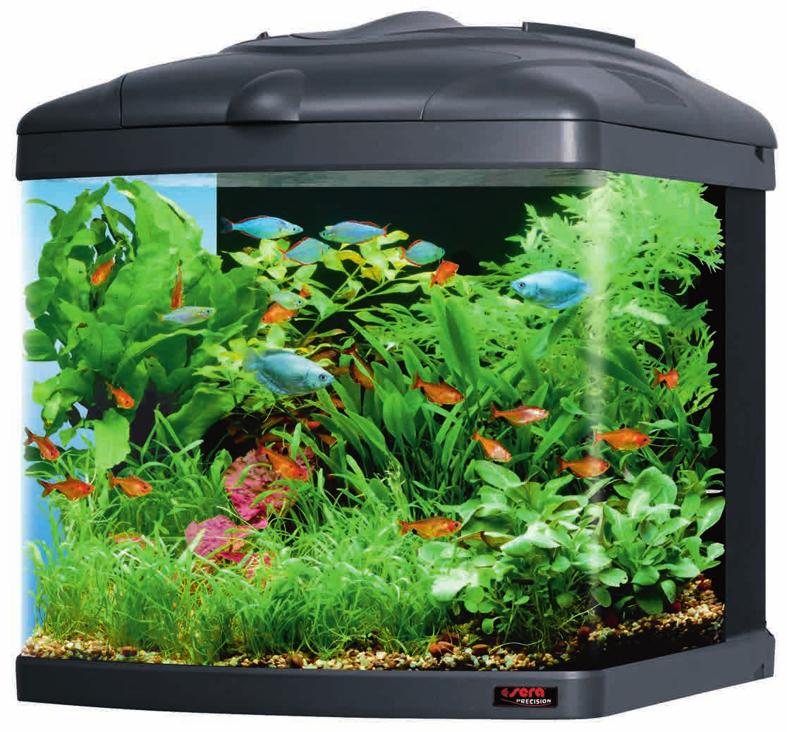 sera Biotop Nano Cube 0 (No. ) Πυκνοφυτεμένα ενυδρεία, τα ονομαζόμενα Ολλανδικά (Dutch style), είναι ιδιαίτερα κατάλληλα για ανθρώπους με οικολογικές ανησυχίες.