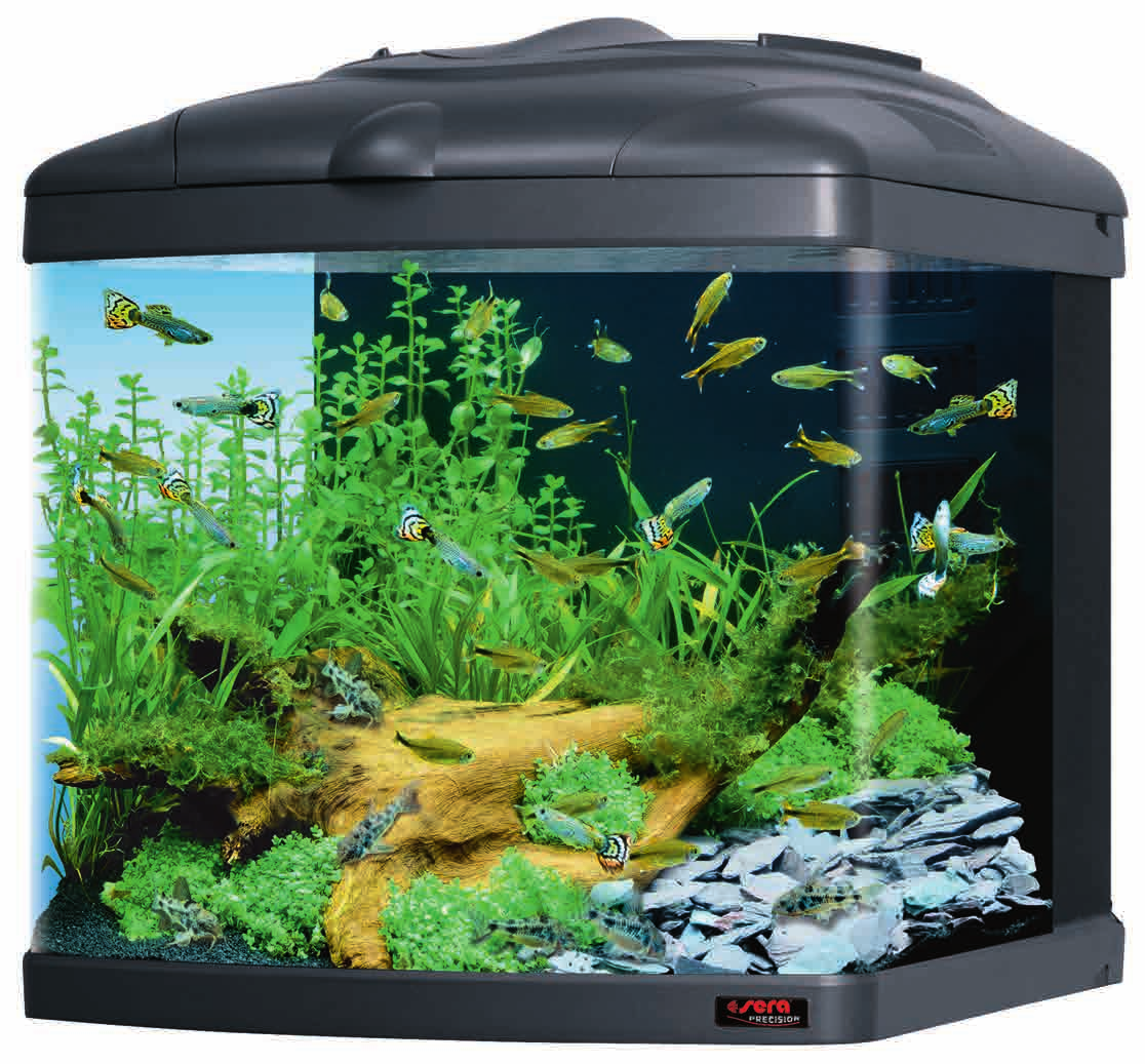 sera Biotop Nano Cube 0 (No. ) Ένα ιδανικά στημένο ενυδρείο όπως αυτό παρέχει το σωστό περιβάλλον διαβίωσης για κάθε κάτοικο.