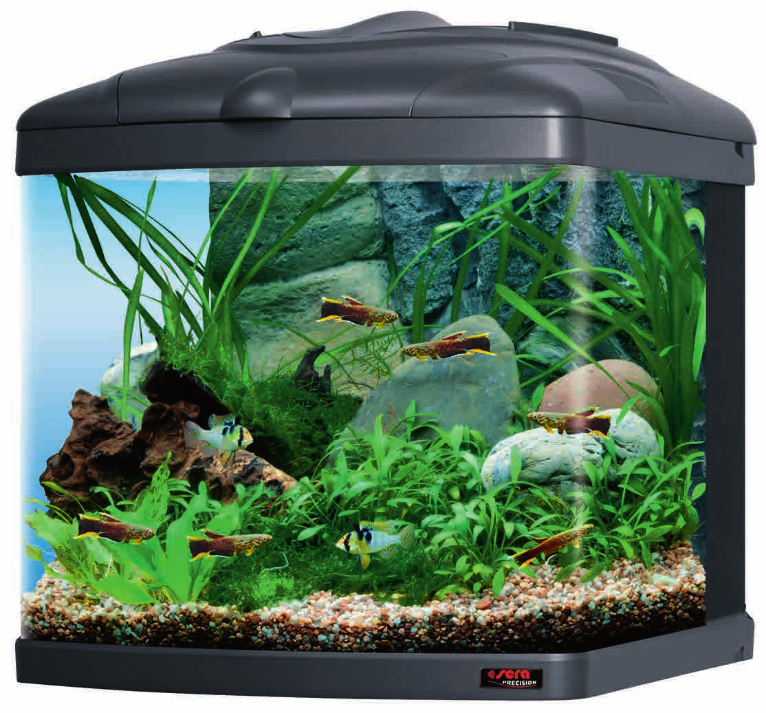 sera Biotop Nano Cube 0 (No. 7) Το μικρό αυτό ενυδρείο επωφελείται επίσης αρκετά από την όμορφη διακόσμηση του.