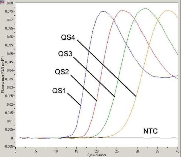 Εικ. 8: Ανίχνευση των προτύπων ποσοτικοποίησης (EBV LC/RG/TM QS 1-4) στο φθοριομετρικό κανάλι