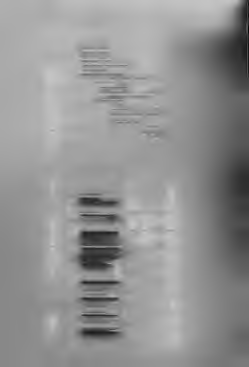 ΙΕ