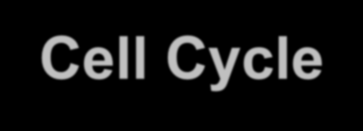Cell Cycle S phase G 1 interphase G 2 Mitosis -prophase -metaphase -anaphase -telophase 1. G1/S prechod - kontroluje sa stav DNA, aby nedošlo k replikácii poškodenej DNA 2.