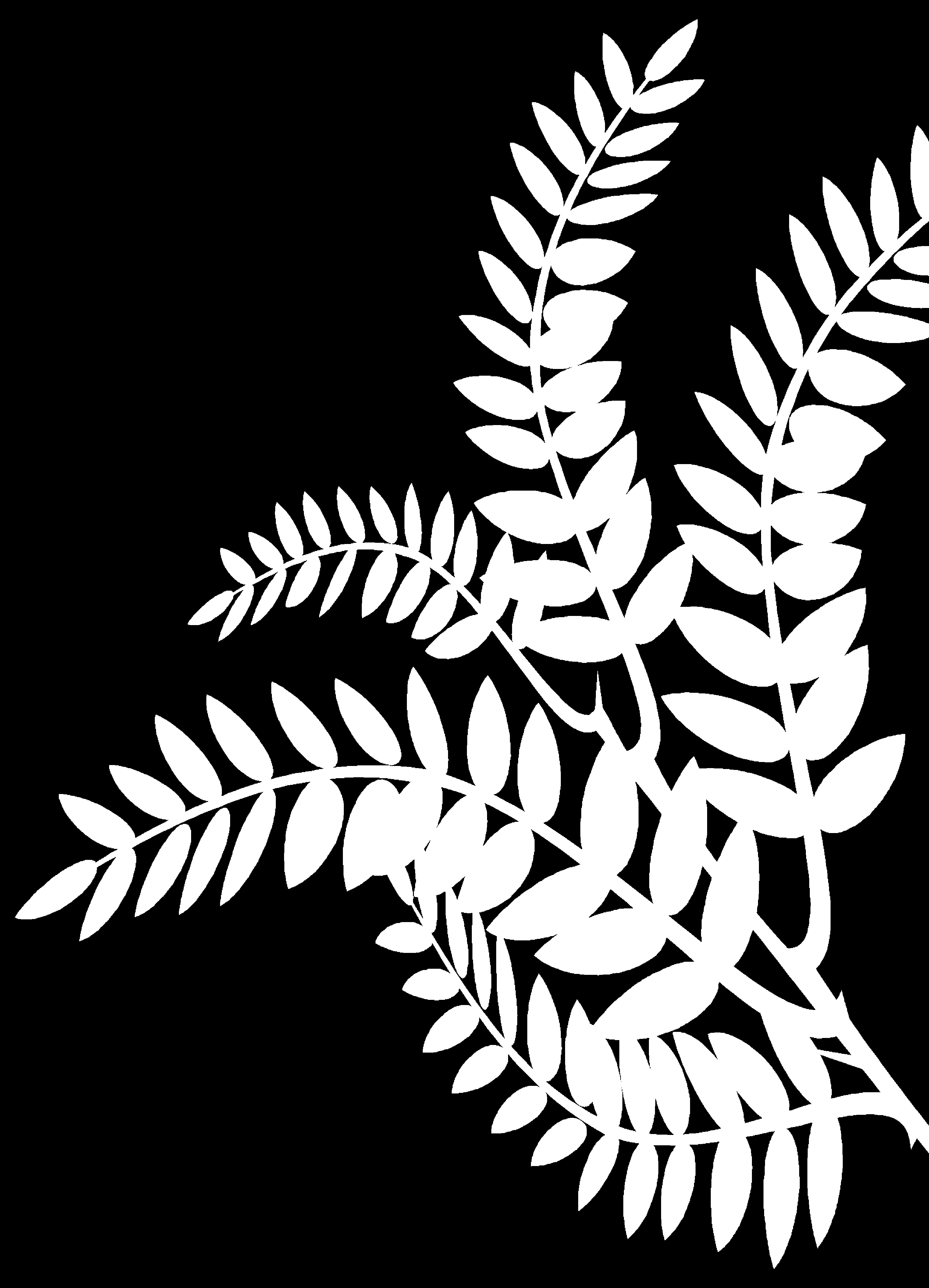 Βλάστησης, Αναπαραγωγή, Αναπτυξιακή Φυσιολογία, Πολλαπλασιασμός, Εγκατάσταση Παραγωγικού Αμπελώνα και Φυτωρίου, Κλάδεμα.