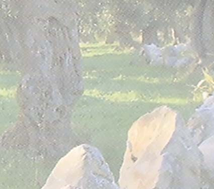 έρευνα, μέσω διεκδίκησης ερευνητικών προγραμμάτων, συμβάλλοντας με αυτόν τον τρόπο